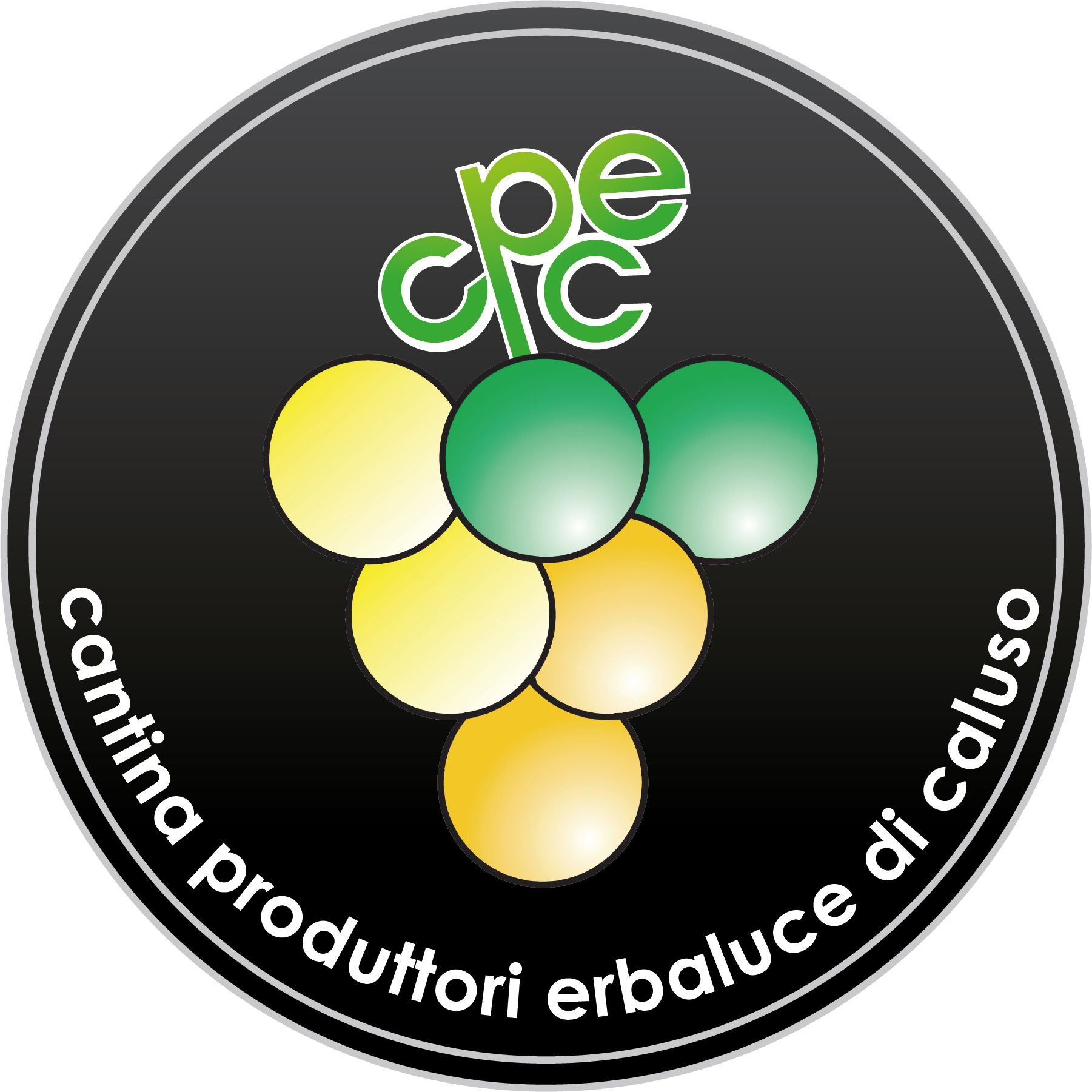 cantina produttori Erbaluce