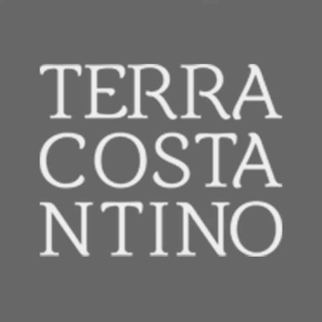 logo-terra-costantino